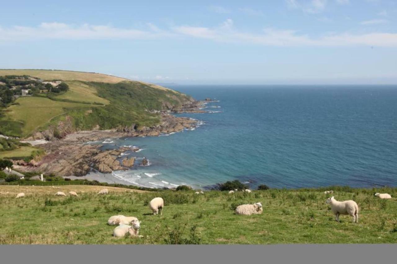 Polmear Harbour View With Terrace Apartment Looe Bagian luar foto
